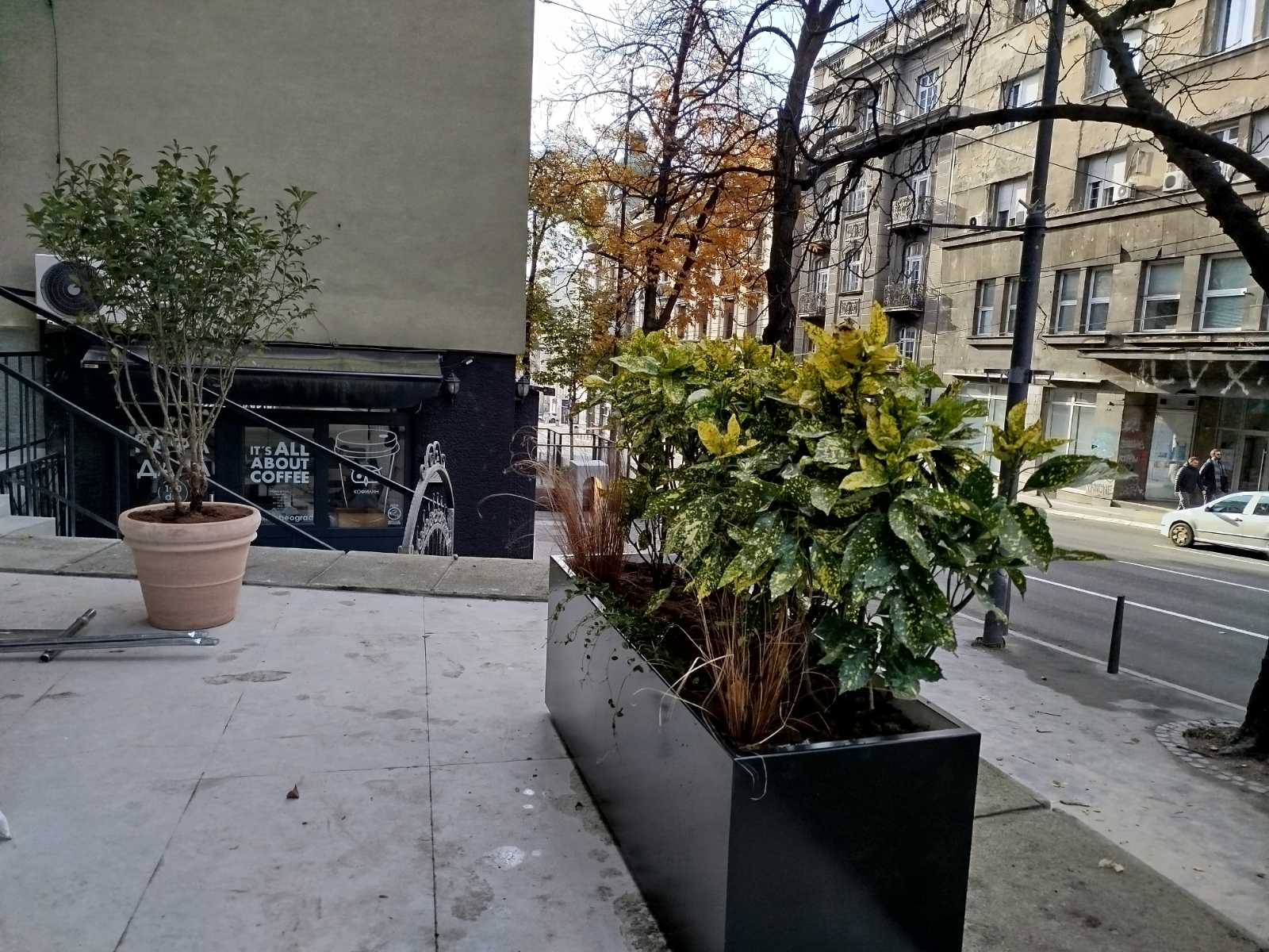 Crna metalna žardinjera sa krotonom ispred kafića